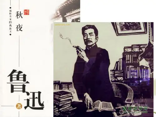 《秋夜》 ppt课件