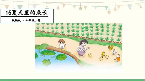 15《夏天里的成长-1》教学PPT