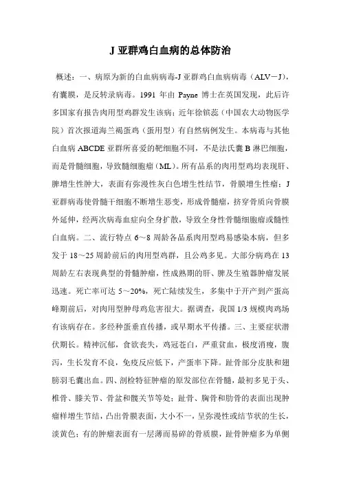 J亚群鸡白血病的总体防治.doc