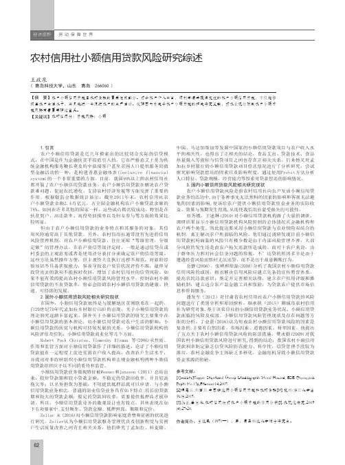 农村信用社小额信用贷款风险研究综述