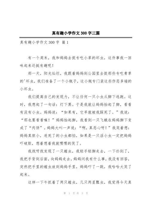 真有趣小学作文300字三篇