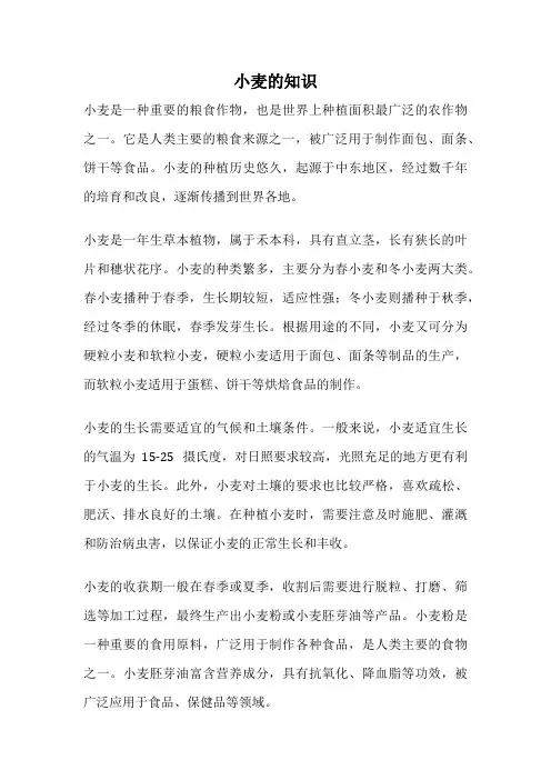 小麦的知识