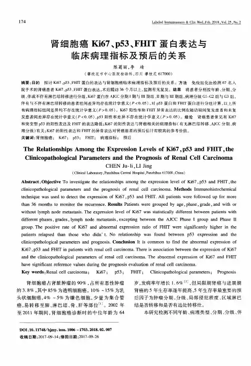 肾细胞癌Ki67、p53、FHIT蛋白表达与临床病理指标及预后的关系