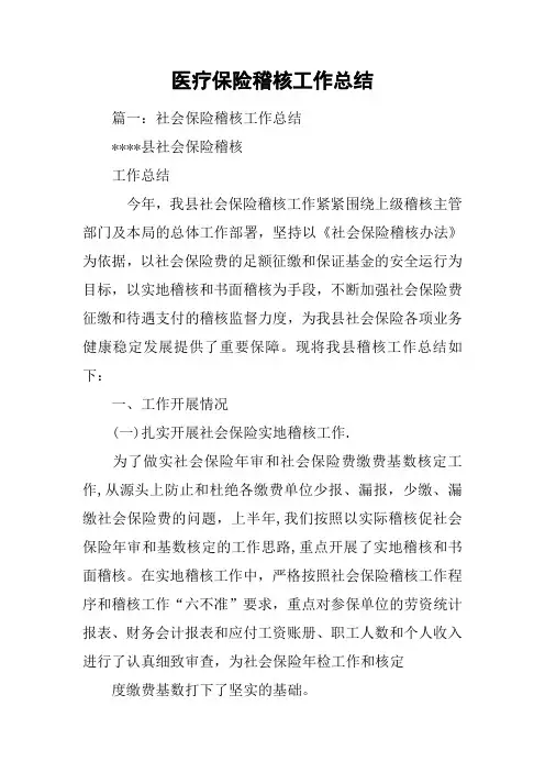 医疗保险稽核工作总结