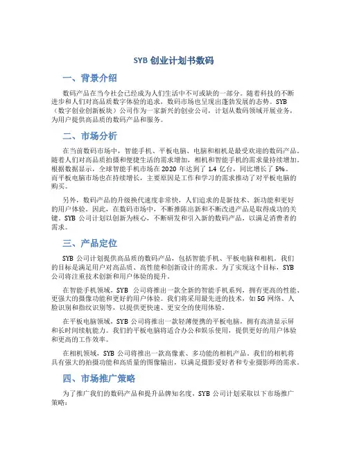 SYB创业计划书数码