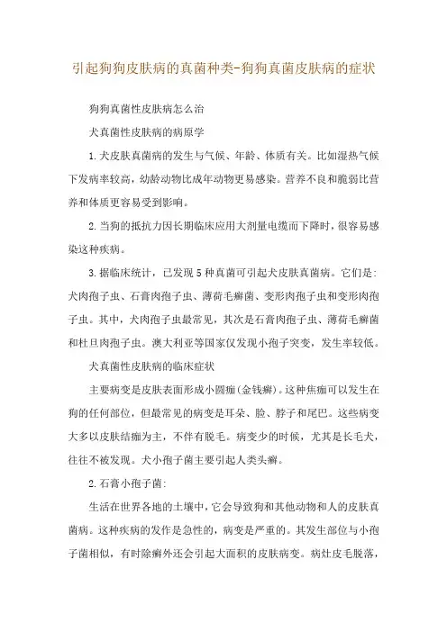 引起狗狗皮肤病的真菌种类-狗狗真菌皮肤病的症状