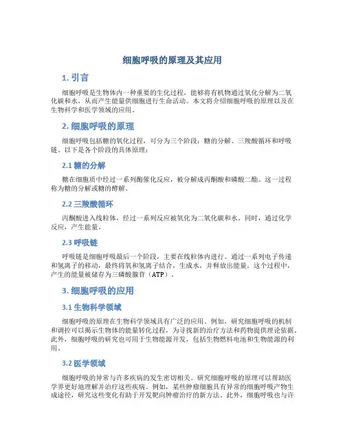 细胞呼吸的原理及其应用