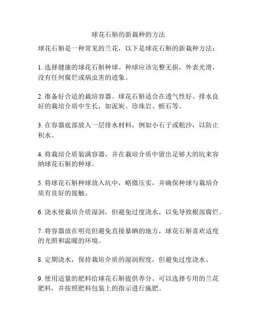 球花石斛的新栽种的方法