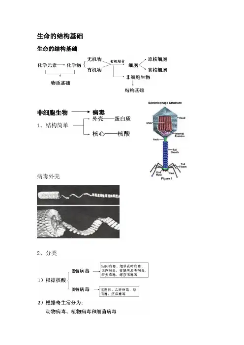 生命的结构基础知识点归纳(图片+文字解析)