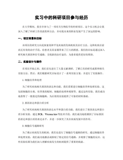 实习中的科研项目参与经历