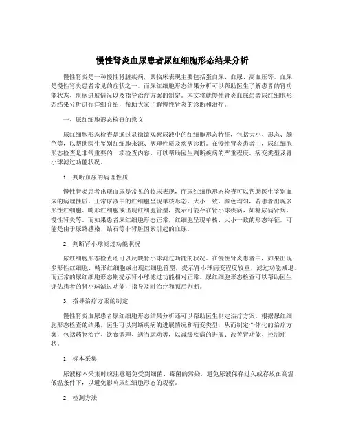 慢性肾炎血尿患者尿红细胞形态结果分析
