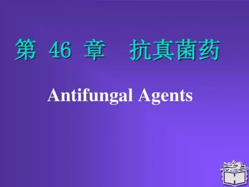 抗真菌药物