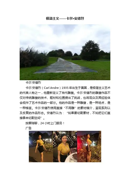 极简主义——卡尔·安德烈