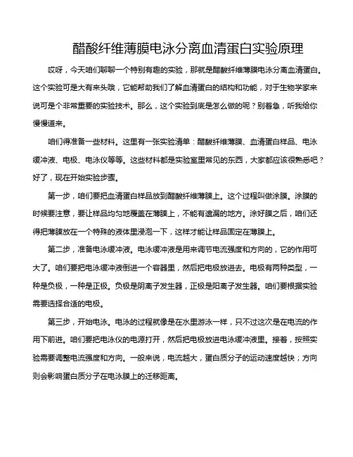 醋酸纤维薄膜电泳分离血清蛋白实验原理