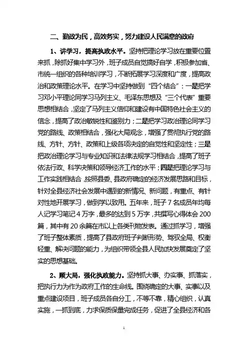 政府总结(政府自身建设)