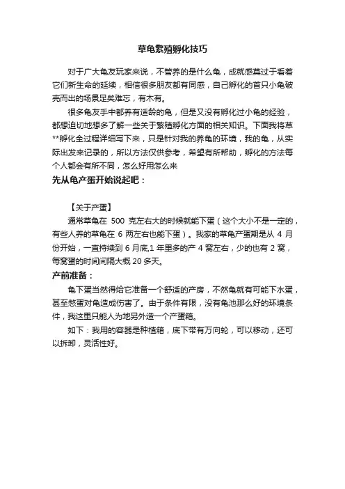 草龟繁殖孵化技巧