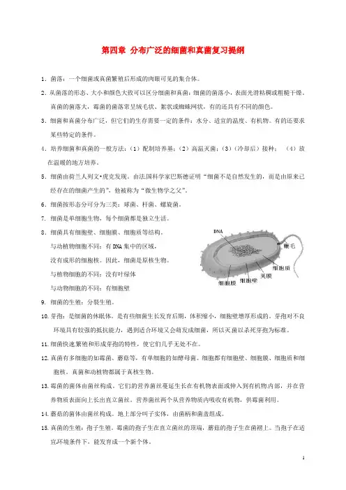 江西省九江实验中学八年级生物上册 第四章 分布广泛的细菌和真菌复习提纲 新人教版