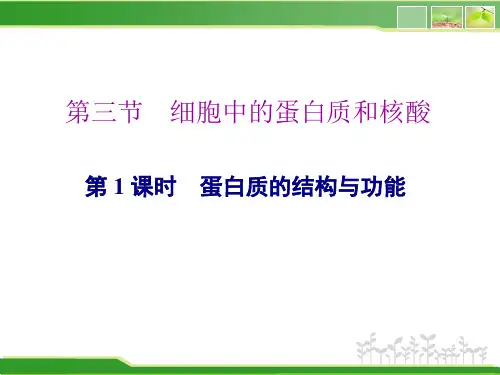 新苏教版 必修1 蛋白质的结构与功能 课件(82张)