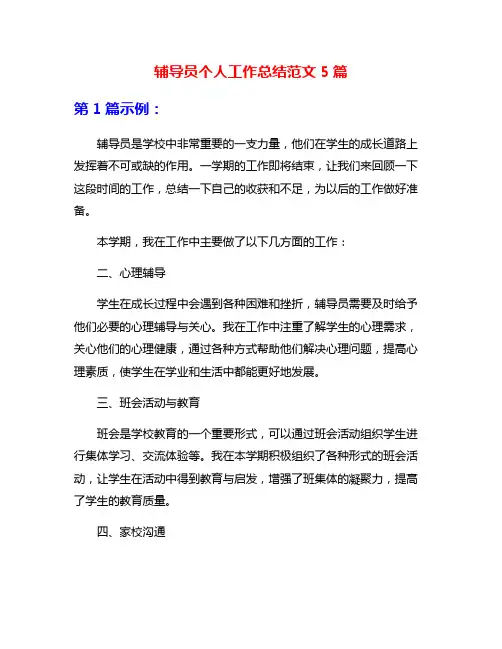 辅导员个人工作总结范文5篇