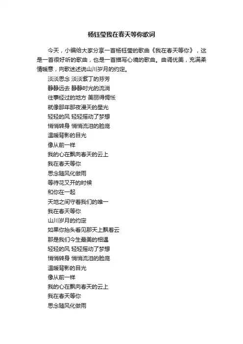 杨钰莹我在春天等你歌词