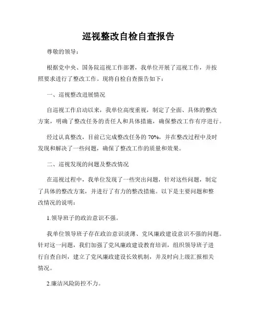 巡视整改自检自查报告