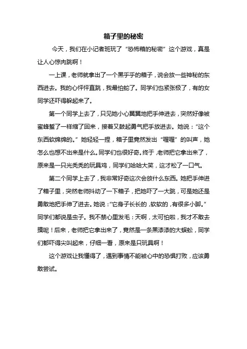 二年级作文：箱子里的秘密作文450字