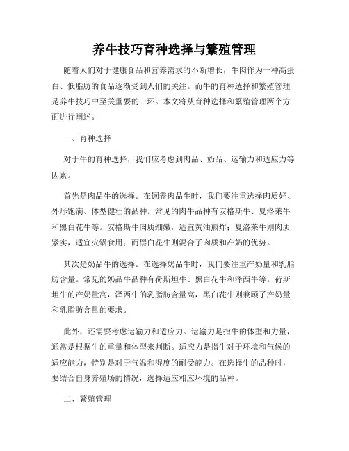 养牛技巧育种选择与繁殖管理