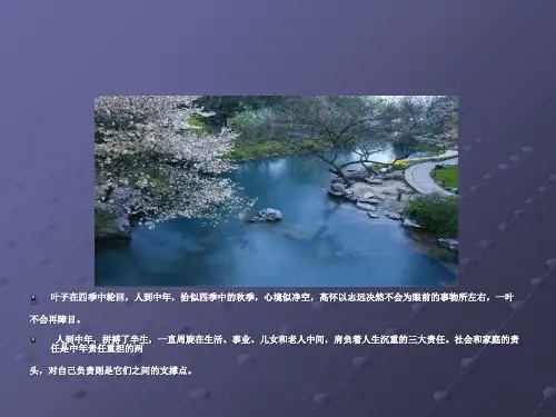 人到中年,静守淡-PPT课件