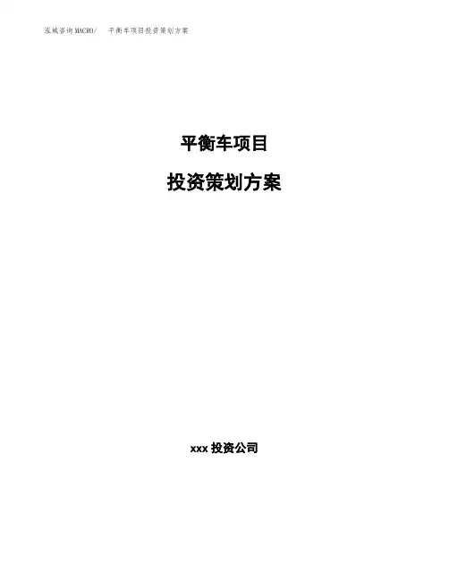 平衡车项目投资策划方案范文
