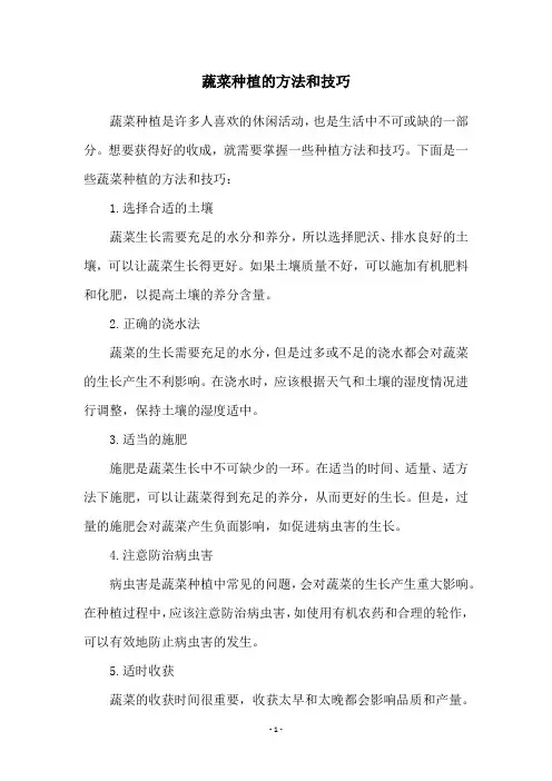 蔬菜种植的方法和技巧