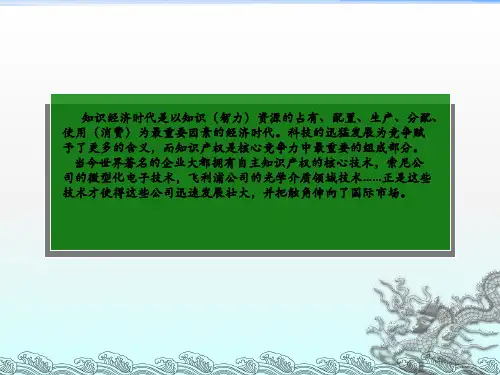 《知识产权》ppt课件