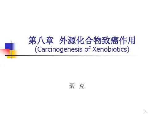 第八章外源化合物的致癌作用