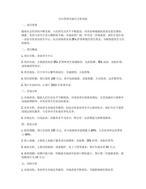 可行性研究报告分析风险