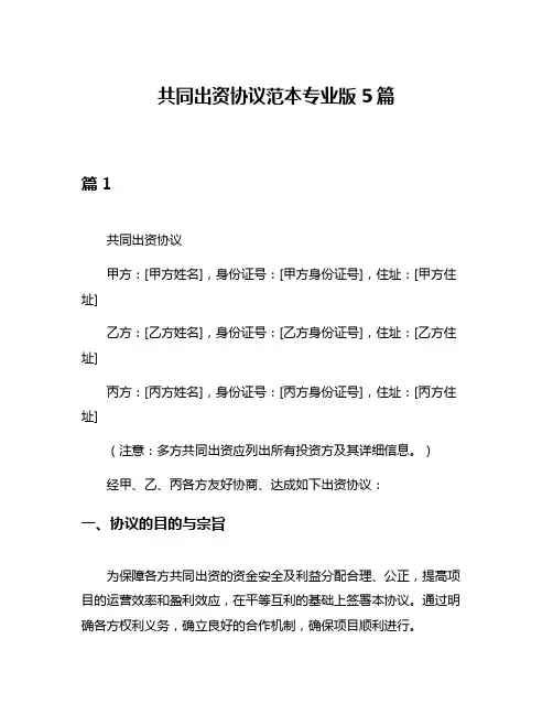 共同出资协议范本专业版5篇