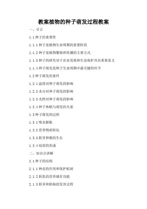 植物的种子萌发过程 - 教案