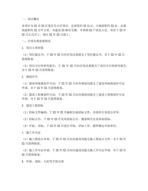 项目手续办理情况报告