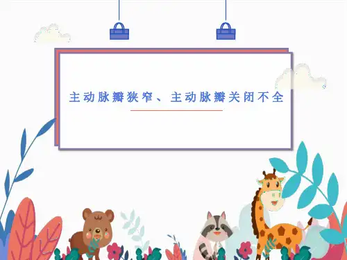 主动脉瓣狭窄与主动脉瓣关闭不全影像表现