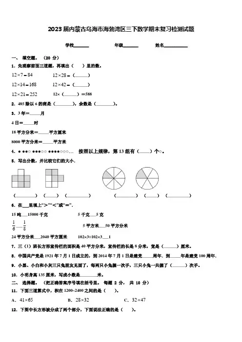 2023届内蒙古乌海市海勃湾区三下数学期末复习检测试题含解析
