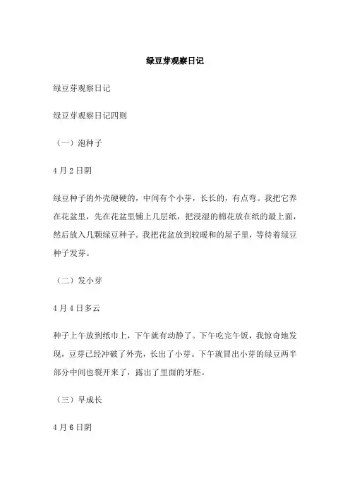 绿豆芽观察日记