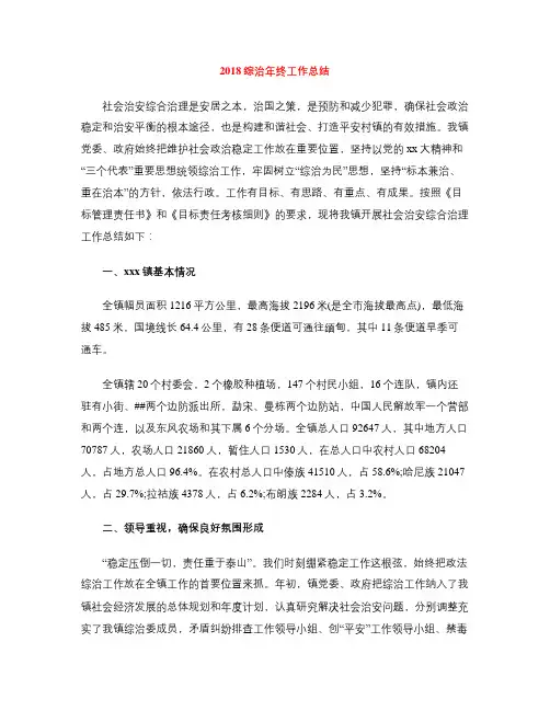2018综治年终工作总结