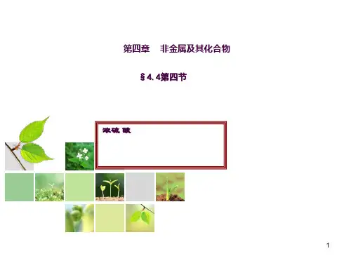 浓硫酸的性质ppt课件