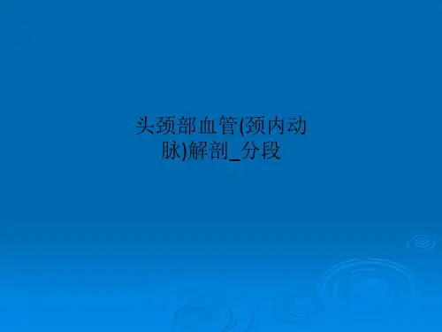 头颈部血管(颈内动脉)解剖_分段