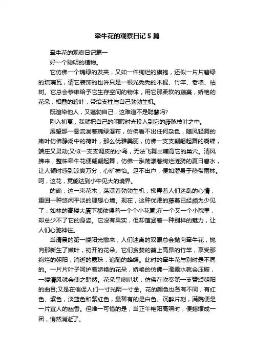 牵牛花的观察日记5篇