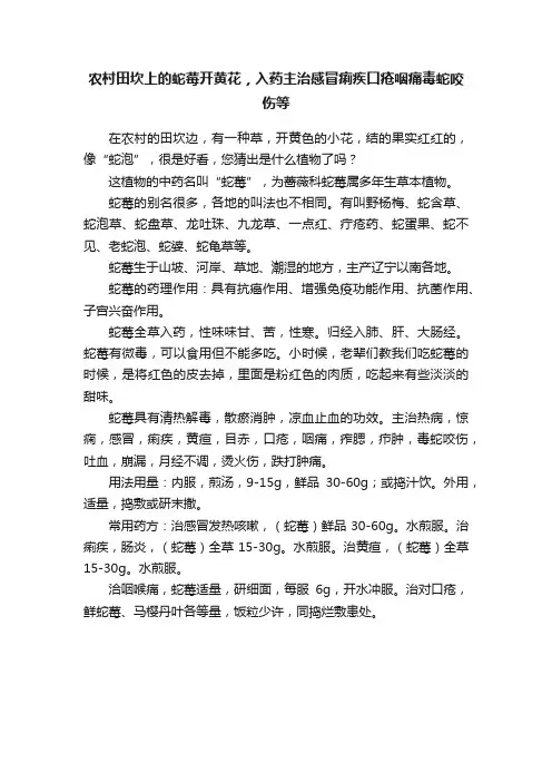 农村田坎上的蛇莓开黄花，入药主治感冒痢疾口疮咽痛毒蛇咬伤等