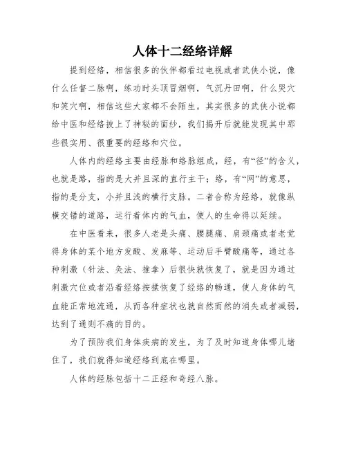 人体十二经络详解
