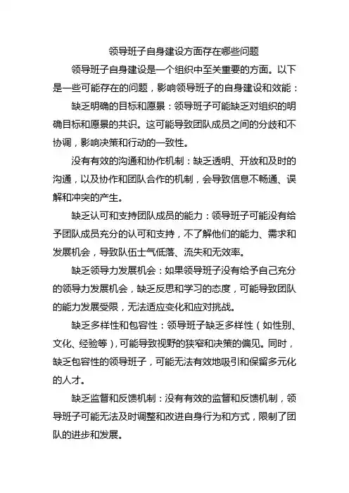 领导班子自身建设方面存在哪些问题