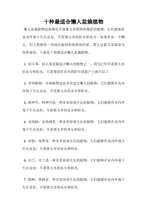 十种最适合懒人盆栽植物