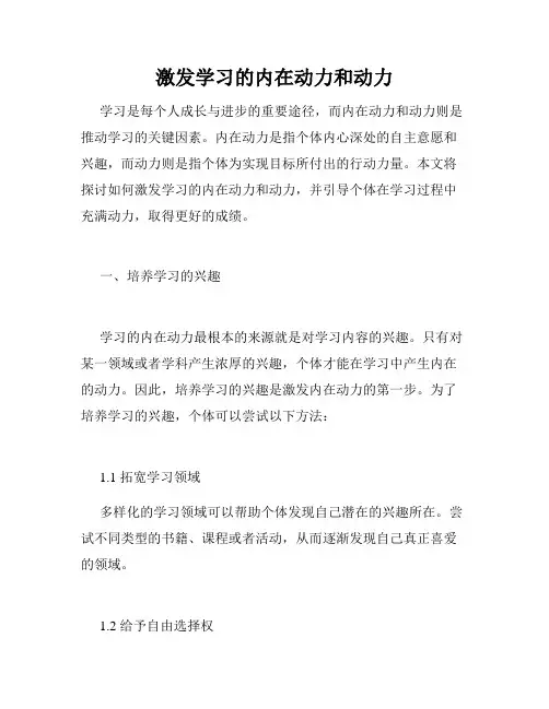 激发学习的内在动力和动力