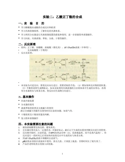 乙酸正丁酯的合成