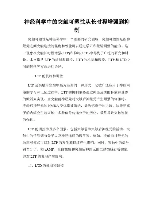神经科学中的突触可塑性从长时程增强到抑制